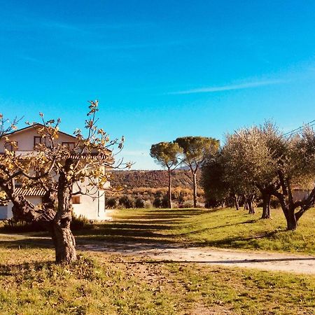 Le Terre D'Abruzzo Guest House Alanno Bagian luar foto