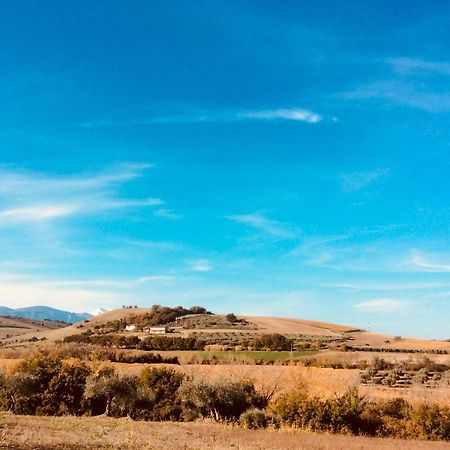 Le Terre D'Abruzzo Guest House Alanno Bagian luar foto