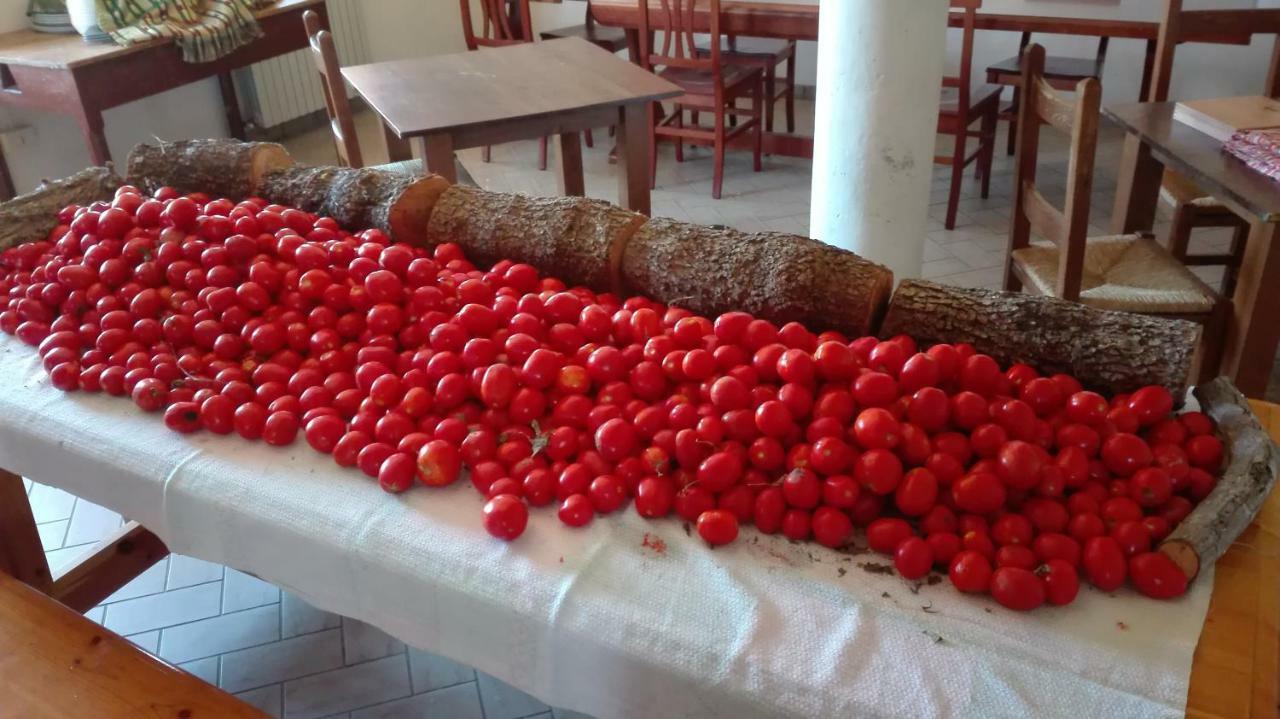 Le Terre D'Abruzzo Guest House Alanno Bagian luar foto