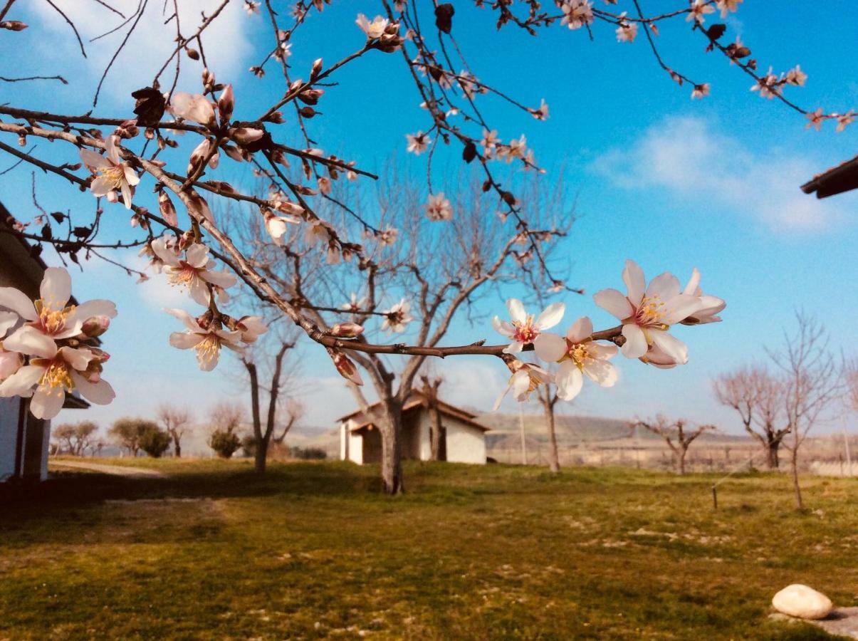 Le Terre D'Abruzzo Guest House Alanno Bagian luar foto