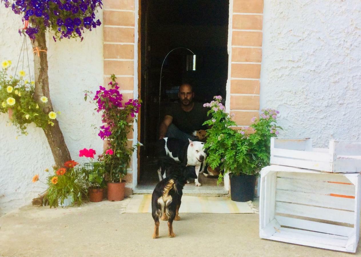 Le Terre D'Abruzzo Guest House Alanno Bagian luar foto