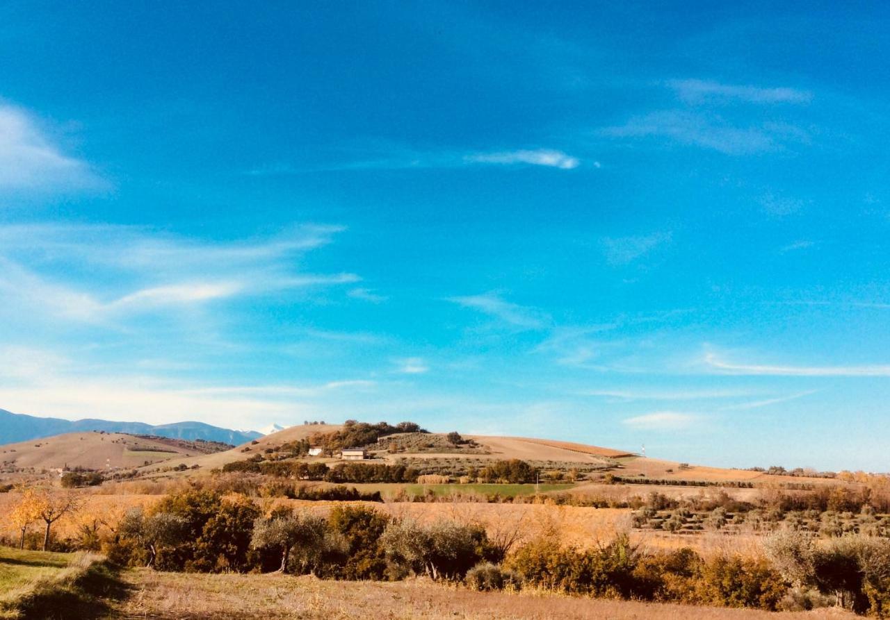 Le Terre D'Abruzzo Guest House Alanno Bagian luar foto
