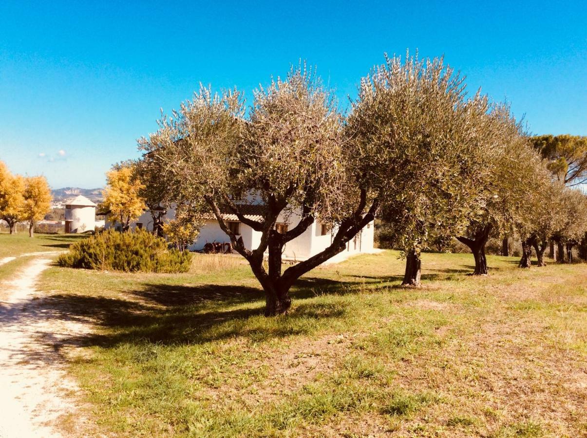 Le Terre D'Abruzzo Guest House Alanno Bagian luar foto