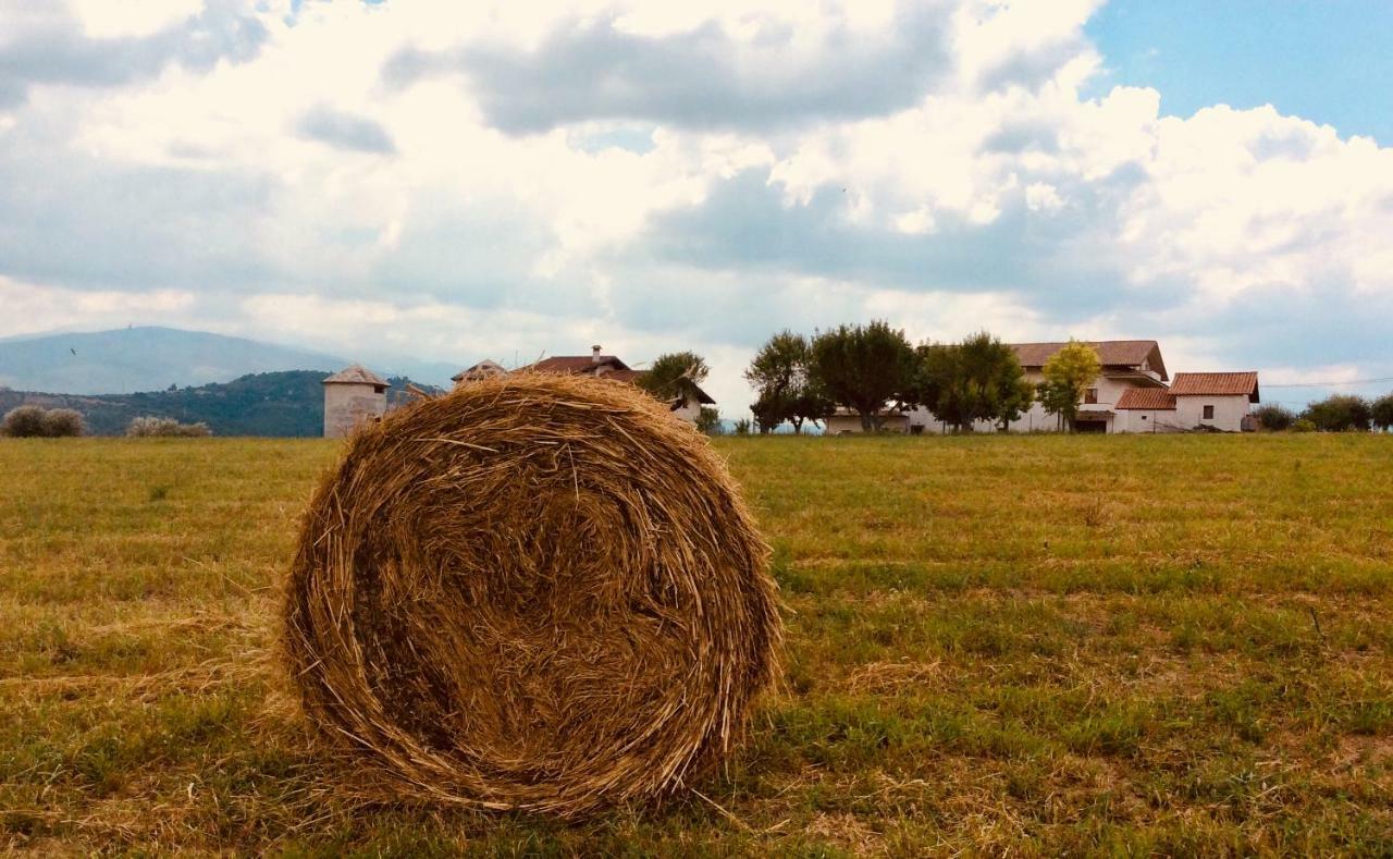 Le Terre D'Abruzzo Guest House Alanno Bagian luar foto